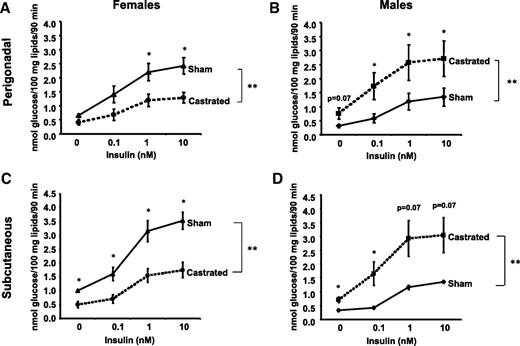FIG. 4. Castration reverses lipogenic rates in male and female adipocytes. Male and female mice were castrated or sham operated. Six weeks after surgery, adipocytes from PG (A and B) and SC (C and D) fat were isolated and stimulated with or without insulin in the presence of 14C-glucose for 90 min. Radioactivity was measured in the extracted lipids and normalized by total lipid content. n = 6 animals per group. **P < 0.05 by repeated-measures ANOVA. *P < 0.05 by Student's t test for point-to-point comparisons sham versus castrated.