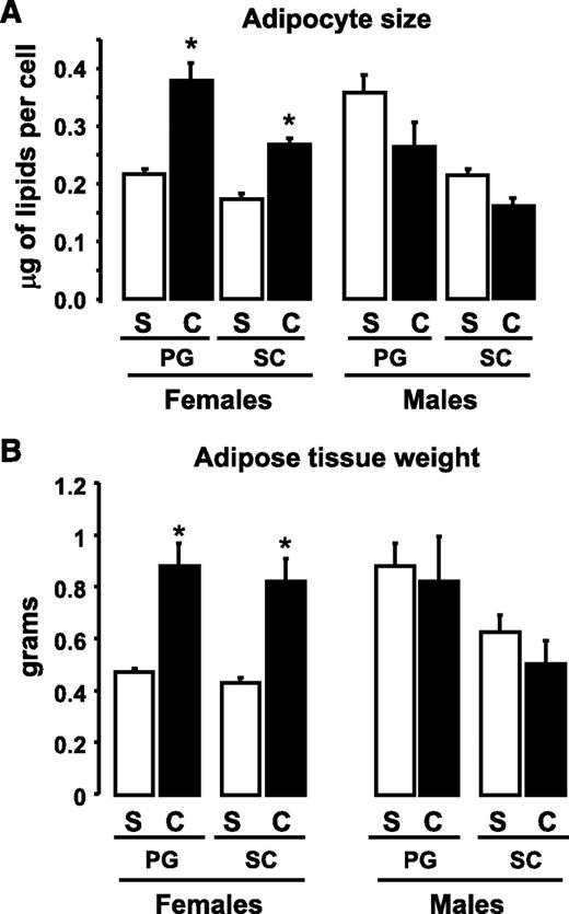 FIG. 6. Effect of castration on adipocyte size and adipose tissue weight. Male and female mice were castrated (C) or sham operated (S). Six weeks after surgery, total body weights and adipose tissue weights from PG and SC fat were assessed, and adipocytes were isolated as described in research design and methods. Mean cell size was calculated by dividing the total lipid content by the total number of cells on a sample. Graphs show the mean adipocyte size (A) or adipose tissue weight (B) from six animals per group. *P < 0.05.