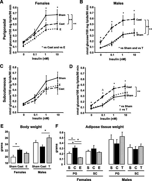 FIG. 7. Effect of short-term castration and steroid treatment on lipogenesis, body weight, and adipose tissue weight in males versus females. Male and female mice were castrated, implanted with 17β-estradiol or 5α-DHT pellets, or sham operated. Three weeks after surgery, adipocytes from PG (A and B) and SC (C and D) fat were isolated and stimulated with or without insulin in the presence of 14C-glucose for 90 min. Radioactivity was measured in the extracted lipids and normalized by total lipid content. E and F: Total body weight (E) and adipose tissue weights (F) from PG and SC fat from sham-operated (sham or S) castrated (cast or C) implanted with estrogen-containing pellets (E) or DHT-containing pellets (T) were assessed. The graphs show the mean from eight animals per group. **P < 0.05 by repeated-measures ANOVA. *P < 0.05 by Student's t test for point-to-point comparisons.