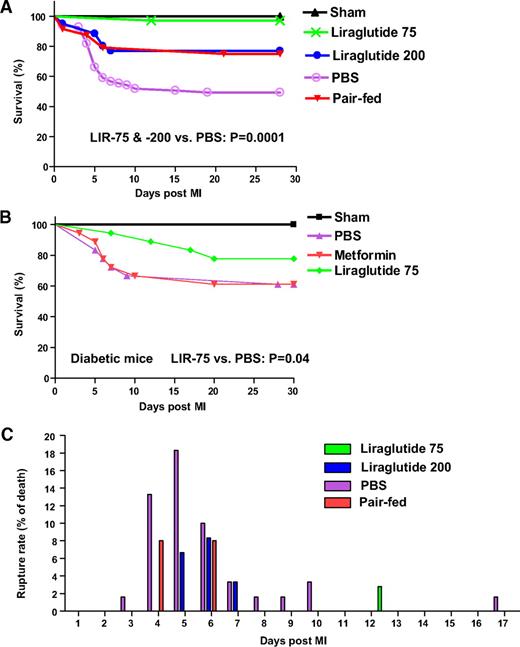 FIG. 1. Liraglutide pretreatment improves outcomes after MI in mice. Kaplan-Meier survival curves show survival after MI in nondiabetic mice (A): sham (n = 20), liraglutide-MI (75 μg/kg, n = 35 or 200 μg/kg, n = 60), PBS-MI (n = 60), and pair-fed mice (n = 25), P = 0.0001 for LIR 75 and 200 versus PBS; and diabetic mice (B): sham (n = 15, 5/treatment group), PBS-MI (n = 18), metformin-MI (n = 18), liraglutide-MI (75 μg/kg, n = 18), P = 0.04 for LIR 75 versus PBS. C: Frequency and timing of cardiac rupture in nondiabetic mice is shown as a percentage of total group. One-week pretreatment with liraglutide (200 or 75 μg/kg i.p. twice daily) had no significant effects on random blood glucose levels in adult nondiabetic mice (PBS: 7.6 ± 4.0 versus LIR 200: 6.3 ± 0.6 versus LIR 75: 6.1 ± 0.4 mmol/l; P = 0.72). Blood glucose levels in diabetic mice are shown in supplemental Table 1 (available in the online appendix).
