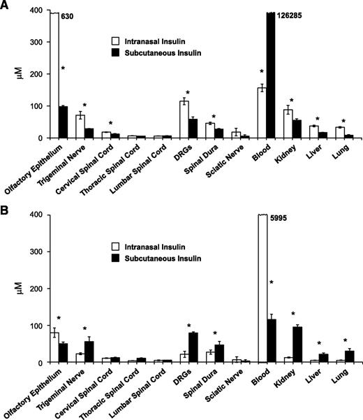 FIG. 1. Detection of radiolabeled insulin after 1 and 6 h of both I-I and S-I. Initial blood and organ insulin levels were lower than those achieved with S-I (A; after 1 h). At 6 h after delivery (B), I-I was associated with increased blood levels, and S-I was more readily identified in nervous tissues. Significant differences were determined by matched Student's t tests, with an asterisk indicating a significant difference (P < 0.05) between the I-I and S-I delivery techniques for each tissue (n = 4 mice in each mouse cohort for each time point).