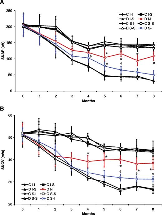 FIG. 3. Sensory nerve conduction study data for sciatic nerves in mice with or without diabetes. Diabetic I-I mice had more successful amelioration than diabetic S-I mice of decline of sensory nerve action potential (SNAP) amplitudes (A) and sensory nerve conduction velocities (SNCV) (B) when compared with other diabetic cohorts. Significant differences were determined by multiple ANOVA tests, with an asterisk indicating significant difference (P < 0.0125 using Bonferroni corrections) between the diabetic I-I mouse group and other diabetic mouse cohorts and with φ indicating significant difference (P < 0.0125 using Bonferroni corrections) between the diabetic S-I mouse group and diabetic S-S and diabetic I-S groups for the respective time points (nonmatched ANOVA tests; F-values range between 0.98 and 6.44 for indicated groups and time points; df = 3,5; n = 6–8 mice in each mouse cohort for each time point). C, control; D, diabetic; S-I, subcutaneous insulin; I-I, intranasal insulin; S-S, subcutaneous saline.