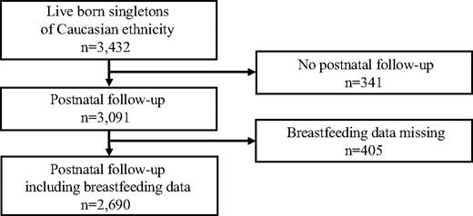 FIG. 1. Flow diagram indicating number of subjects for each analysis.