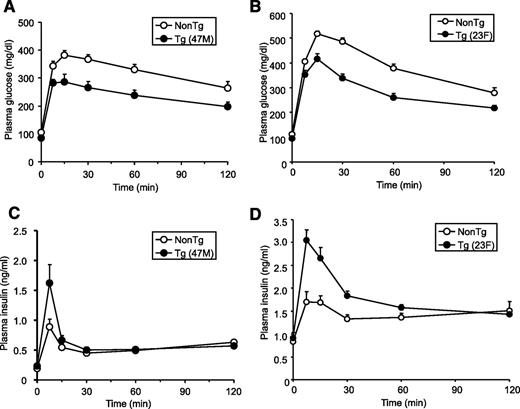 FIG. 2. Improved glucose tolerance in hGPR40 transgenic mice harboring C57BL/6J background. Oral glucose tolerance testing was conducted in nontransgenic and hGPR40 transgenic on a regular diet. Glucose was administered orally at 1 g/kg body wt. Panels show plasma glucose and plasma insulin in the 47M line at 16 weeks of age (n = 8) (A and C) and in the 23F line at 15 weeks of age (n = 10) (B and D). Data in panel E represent the AUC0–120 min of the plasma glucose shown in panels A and B, and data in panel F represent the AUC0–30 min of the plasma insulin shown in panels C and D. G and H: Insulin tolerance test for nontransgenic and hGPR40 transgenic mice. Insulin was injected intraperitoneally at 0.5 units/kg. Panels show plasma glucose on regular diet at 14–15 weeks of 47M (n = 13–15) (G) and 23F (n = 5–7) (H), respectively. All values are the means ± SE. **P ≤ 0.01, *P ≤ 0.05 vs. nontransgenic mice by Student's t test. NonTg, nontransgenic; Tg, transgenic.
