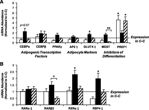 FIG. 2. A: Expression of genes related to adipocyte differentiation by RT-PCR. B: Expression of genes related to retinol signaling by RT-PCR. *P < 0.05 vs. C-C; comparisons of U-C vs. U-U also reached P < 0.05 for Rxr-α and Rar-β2. ‡Data are normalized to expression of cyclophilin or TBP. Gene expression in the C-C group is set as 1; □, C-U group; ■, U-C group; ▨, U-U group.