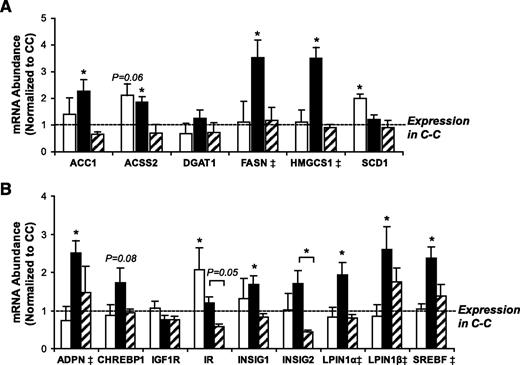 FIG. 4. A: Gonadal fat expression of genes related to lipogenesis by RT-PCR. B: Gonadal fat expression of genes regulating lipogenesis by RT-PCR. *P < 0.05 vs. C-C; comparisons of U-C vs. U-U also reached P < 0.05 for AccI, Acss2, Fasn, Hmgcs1, Insig1, Insig2, and Lpin1α. ‡mRNA abundance is normalized to expression of cyclophilin or TBP. Gene expression in the C-C group is set as 1. □, C-U; ■, U-C; ▨, U-U.