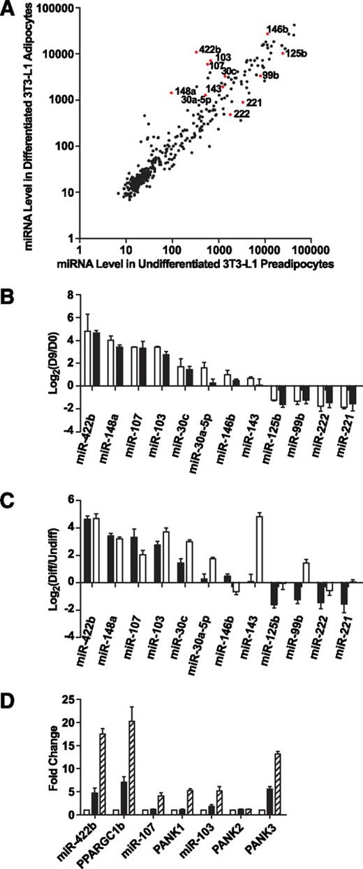 FIG. 1. miRNA expression profiling during 3T3-L1 adipogenesis. A: Intensity scatter plot showing comparison of miRNA profiles between undifferentiated 3T3-L1 preadipocytes (day 0) and differentiated 3T3-L1 adipocytes (day 9). The 12 miRNAs that are the focus of our detailed analyses are highlighted in red and indicated by a label. B: Validation of miRNA array results for 12 regulated miRNAs by RT-PCR assays. Expressions for all miRNAs are plotted as fold-change in log2 scale; positive indicates enriched in day 9 vs. day 0. □, Array result (n = 2); ■, RT-PCR result (n = 4). Data are expressed as means ± SE. C: Comparison by RT-PCR of miRNA regulation during 3T3-L1 differentiation and primary fat cell development. Expressions of all miRNAs are normalized to internal control and plotted as fold-change in log2 scale. ■, day 9 vs. day 0, same data as Fig. 1B (n = 4); □, mature adipocytes vs. enriched preadipocytes (n = 4). Data are expressed as mean ± SE. D: Intronic miRNAs and their host genes are co-regulated during adipogenesis. miR-422b is in the intron of PPARGC1b; miR-107 is in the intron of PANK1; the two copies of miR-103 are in the introns of PANK2 and PANK3. miRNA expression levels are measured by RT-PCR and normalized to internal control. Expression levels of mRNAs are also determined by RT-PCR and normalized to internal control. Expressions are shown as fold-change relative to the level at day 0. □, day 0; ■, day 2; ▨, day 4. Data are expressed as mean ± SE (n = 3).