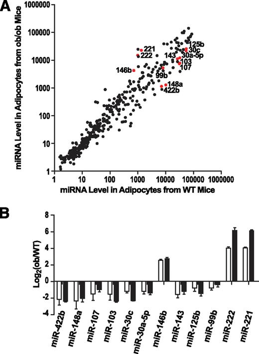 FIG. 2. miRNA expression profiling in adipocytes from wild-type (WT) and leptin-deficient ob/ob mice. A: Intensity scatter plot showing comparison of miRNA profiles in adipocytes from WT and ob/ob mice. The 12 miRNAs that are the focus of our detailed analyses are highlighted in red and indicated by a label. B: Validation of miRNA array results for 12 regulated miRNAs by RT-PCR assays. Expression of all miRNAs are normalized to internal control and plotted as fold-change in a log2 scale. □, Array result (n = 2); ■, RT-PCR result (n = 2). Data are expressed as mean ± SE.