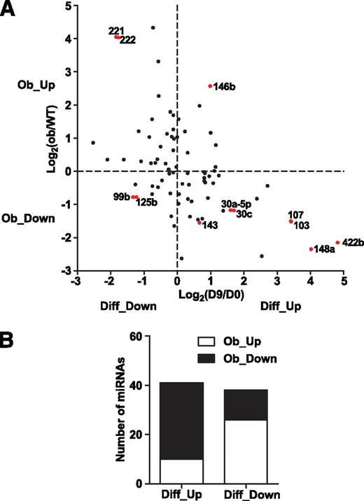 FIG. 4. Inverse correlation of miRNA expression during adipogenesis and obesity. A: Scatter plot showing the inverse correlation of miRNA regulation during adipogenesis and obesity. A total of 79 miRNAs, whose levels are above the mean expression of all miRNAs in at least one of the four samples (undifferentiated 3T3-L1 preadipocytes [day 0], differentiated 3T3-L1 adipocytes [day 9], and adipocytes from wild-type [WT] and ob/ob mice) are shown. Fold-change is based on array result and plotted in a log2 scale. The 12 miRNAs that are the focus of our detailed analyses are highlighted in red and indicated by a label. Pearson's correlation coefficient: r = −0.51, P < 0.0001. B: Fisher's exact test for 79 miRNAs is shown in Fig. 3A. A total of 41 miRNAs were upregulated during differentiation (Diff_Up), among which 31 miRNAs were downregulated during obesity (Ob_Down), whereas 10 miRNAs were upregulated (Ob_Up). A total of 38 miRNAs were downregulated during differentiation (Diff_Down), among which 26 miRNAs were upregulated during obesity (Ob_Up), whereas 12 miRNAs were downregulated (Ob_Down). P = 0.0001 by Fisher's exact test.