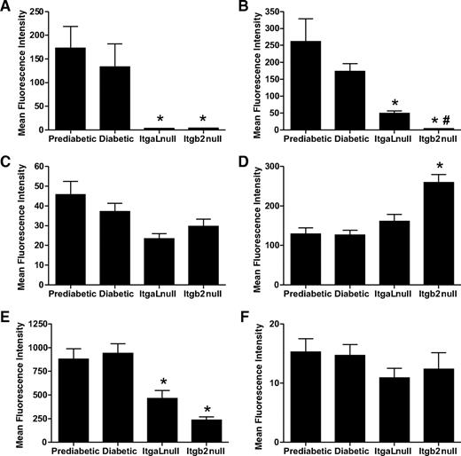 FIG. 3. Loss of Itgb2 or ItgaL expression alters NOD/LtJ T-cell adhesion molecule expression. Whole splenocytes were isolated from wild-type pre-diabetic (12 weeks old), wild-type diabetic (18 weeks old), Itgb2−/− null (18 weeks old), and ItgaL−/− null (18 weeks old) NOD/LtJ mice and stained for CD3 and individual adhesion molecules to determine the amount of surface adhesion molecule expression. A: The mean fluorescence intensity for CD11a expression. B: The mean fluorescence intensity for CD18 expression. C: The mean fluorescence intensity for CD49d expression. D: The mean fluorescence intensity for CD29 expression. E: The mean fluorescence intensity for CD62L expression. F: The mean fluorescence intensity for LPAM-1 expression. *P < 0.01 vs. wild-type diabetic mice; # P < 0.01 Itgb2 null vs. ItgaL null mice, n = 6–7 animals per genotype.