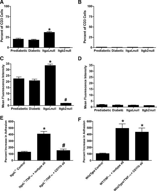 FIG. 5. Genetic deficiency of ItgaL enhances CD11b expression and regulates T-cell adhesion. Whole splenocytes were isolated from wild-type pre-diabetic (12 weeks old), wild-type diabetic (18 weeks old), Itgb2−/− null (18 weeks old), and ItgaL−/− null (18 weeks old) NOD/LtJ mice and stained for CD3 and either CD11b or CD11c to determine what other β2 integrins could be expressed in ItgaL null cells. A and B: The percent of CD3 T-cells that were positive for CD11b and CD11c, respectively. C and D: The mean fluorescence intensity for CD11b and CD11c expression, respectively. *P < 0.01 vs. wild-type diabetic CD3 T-cells, # P < 0.01 vs. wild-type diabetic CD3 T-cells. E: The effect of anti-CD11b blockade on ItgaL null NOD/LtJ T-cell adhesion to TNF-α–stimulated islet endothelial monolayers under hydrodynamic flow conditions. F: The effect of anti-CD11b blockade on wild-type diabetic NOD/LtJ T-cell adhesion to TNF-α–stimulated islet endothelial monolayers under hydrodynamic flow conditions. *P < 0.01 vs. control; # P < 0.01 vs. isotype antibody control, n = 6 per treatment group. ab, antibody.