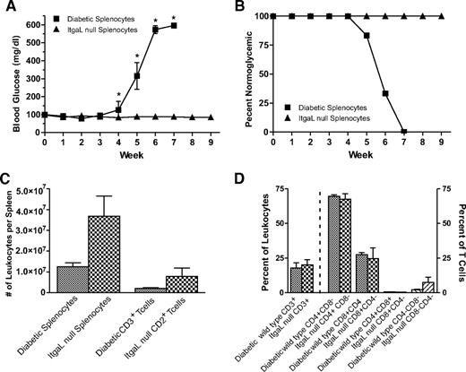 FIG. 6. Adoptive transfer of ItgaL splenocytes does not elicit autoimmune diabetes. Splenocytes from wild-type diabetic or ItgaL−/− null NOD/LtJ mice were adoptively transferred into Rag-1 null NOD/LtJ mice. A: Changes in blood glucose on adoptive transfer between diabetic splenocytes and ItgaL−/− null splenocytes. *P < 0.01, n = 8. B: The percent normoglycemia during adoptive transfer between wild-type diabetic or ItgaL−/− null splenocytes (n = 8). C: The number of leukocytes and CD3 T-cells found within the spleens of adoptively transferred mice between diabetic and ItgaL−/− null splenocytes (n = 4). D: T-cell phenotypic distribution between Rag-1 null NOD/LtJ mice reconstituted with either diabetic or ItgaL−/− null splenocytes (n = 4).