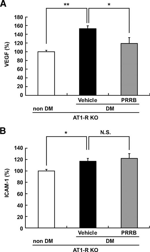 FIG. 7. RAS-independent (pro)renin receptor–mediated intracellular signaling contributes to diabetes (DM)-induced expression of VEGF but not ICAM-1. Effects by blocking intracellular signaling via the (pro)renin receptor on protein levels of diabetes-related inflammatory molecules. VEGF levels were significantly suppressed with PRRB (A) (n = 12–14). B: ICAM-1 levels showed no significant (NS) differences (n = 12–14). *P < 0.05 and **P < 0.01. KO, knockout.
