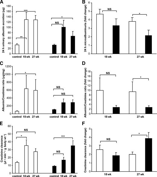 FIG. 5. Renal function impairment is attenuated in diabetic grem1+/− mice compared with that in wild-type mice. A: Twenty-four–hour urine volumes were measured and levels of microalbumin were measured using an Albuwell M ELISA as described. Values for control nondiabetic (27 weeks), 18-week, and 27-week diabetic groups of wild-type (□) and grem1+/− mice (■) were plotted (n = 6–11 per group except grem1+/− 18 weeks, n = 3). Data were analyzed using a one-way ANOVA and Tukey-Kramer post hoc analysis. *P < 0.05; **P < 0.01; ***P < 0.001. B: Fold change in 24-h microalbuminuria was calculated by divided microalbumin values for individual diabetic wild-type and grem1+/− mice by the mean microalbumin value for the corresponding 18- or 27-week control group. Mean fold change values ± SE were plotted. *P < 0.05, using a two-tailed t test. C: The ACR was calculated by dividing urinary microalbumin by urinary creatinine and is plotted as micrograms per milliliter. Values from control (nondiabetic), 18-week, and 27-week diabetic wild-type and grem1+/− mice were plotted (n = 6–11). *P < 0.05, one-way ANOVA with post hoc Tukey-Kramer multiple comparison test. D: Fold change in ACR was calculated by dividing ACR values for individual diabetic wild-type and grem1+/− mice by the mean ACR value for the corresponding 18- or 27-week control group. Mean fold change values ± SE were plotted. *P < 0.05, using Student's two-tailed t test. E: Creatinine clearance was calculated as microliter per minute per gram body weight. Data from both control and diabetic wild-type and grem1+/− mice at time 0, 18 weeks, and 27 weeks of diabetes were plotted (n = 6–11). *P < 0.05; ***P < 0.001, using one-way ANOVA with post hoc Tukey-Kramer multiple comparison test. F: Fold change in creatinine clearance was calculated by dividing creatinine clearance values for individual diabetic wild-type and grem1+/− mice by the mean creatinine clearance value for the corresponding 18- or 27-week control group. Mean fold change values ± SE were plotted. *P < 0.05 using Student's two-tailed t test. □, wild type; ■, grem1+/−.