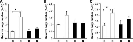 FIG. 7. Upregulation of gene markers of diabetic nephropathy is attenuated in grem1+/− mice. Total RNA was extracted from renal poles of control (C) and diabetic (D) wild-type (□) and grem1+/− (■) mice at 27 weeks of diabetes. A quantitative TaqMan PCR was performed using mouse fibronectin (A), vimentin (B), or CTGF (C) specific oligonucleotides as described. ΔΔCt values were calculated by subtracting the Ct values for the 18S control from the corresponding test gene value obtained in the same tube, and altered mRNA levels were then calculated by setting the control in each age-group to 1. Data are plotted as means ± SE. *P < 0.05, Student's unpaired t test, n = 4–6 for each group. Increases in vimentin in wild-type diabetic kidney just failed to reach significance (P = 0.079).
