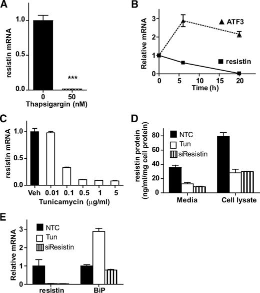 FIG. 1. Endoplasmic reticulum stress activation downregulates resistin expression in vitro in 3T3-L1 adipocytes. A: Downregulation of resistin mRNA levels following treatment with 50 nmol/l thapsigargin for 24 h. B: Time course of resistin and ATF3 mRNA gene expression upon induction of ER stress with 5 μg/ml tunicamycin, presented as fold change over the levels at 0 h. C: Resistin gene expression in response to vehicle and various doses of tunicamycin for 24 h, presented as fold change over vehicle alone. D: Resistin protein concentration in tissue culture media and whole cell lysates presented as nanogram per milliliter per milligram of total cell protein. Mature adipocytes were electroporated with resistin (siResistin) or nontarget control (NTC) siRNA oligos and treated with vehicle or 5 μg/ml tunicamycin. Twenty-four hours later the cells were washed and treated with vehicle or 5 μg/m tunicamycin for 24 h and resistin protein levels were assayed with ELISA. Data are mean ± SE, n = 3. E: Gene expression validation that siResistin and tunicamycin treatment reduced resistin mRNA to similar levels, and only tunicamycin induced markers of ER stress such as BiP. Data in A–C and E were normalized to the house-keeping gene Arbp/36b4 and are shown as mean ± SE, n = 3. ***P < 0.001.