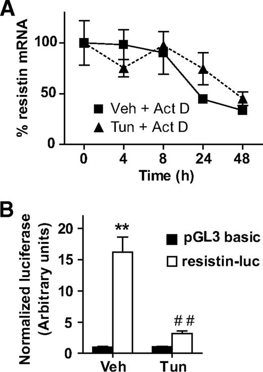 FIG. 3. Endoplasmic reticulum stress downregulates resistin in adipocytes by a transcriptional mechanism. A: Changes in resistin mRNA levels over 48 h in response to vehicle or 5 μg/ml tunicamycin in the presence of 5 μg/ml Actinomycin D. Data are presented as percent of the mRNA level at time 0, mean ± SD of a triplicate experiment. B: Normalized luciferase activity of resistin-luc (−13,580 bp to +243 bp) or empty vector (pGL3 basic) in the presence of vehicle or 5 μg/ml tunicamycin for 24 h. Data are presented as mean ± SE, n = 3. **P = 0.003 for pGL3 basic versus resistin-luc activity in vehicle-treated cells. ##P = 0.005 for resistin-luc activity in vehicle- versus tunicamycin-treated cells.