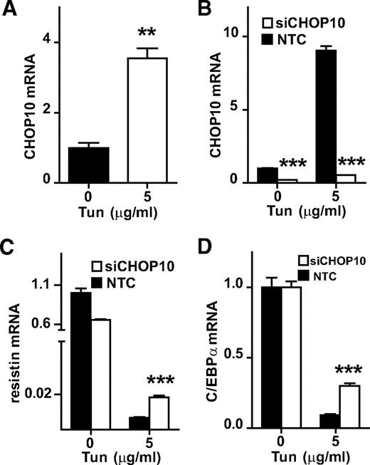 FIG. 7. Upregulation of CHOP10 by ER stress induction contributes to reduced resistin expression. A: CHOP10 is upregulated by ER stress. CHOP10 mRNA levels were measured by QPCR in mature adipocytes treated with vehicle or 5 μg/ml tunicamycin for 24 h. B–D: CHOP10 knockdown (siCHOP10) partially rescues the effects of ER stress on resistin and C/EBPα expression. B: Efficiency of CHOP10 knockdown was assayed by QPCR. C: Effects of siCHOP10 or NTC on resistin mRNA levels in the presence or absence of 5 μg/ml tunicamycin for 24 h. D: Effects of siCHOP10 on C/EBPα mRNA levels. All QPCR data were normalized to Arbp/36b4 and presented as mean ± SE of three replicates. nontarget control, NTC. **P < 0.01, ***P < 0.001.
