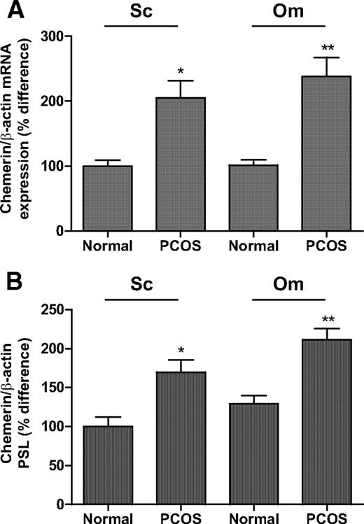 FIG. 1. A: Chemerin mRNA expression relative to β-actin was significantly increased in human subcutaneous (Sc) and omental (Om) adipose tissue depots when comparing PCOS women (n = 14) with normal control subjects (n = 14), using real-time RT-PCR. Data are expressed as percent difference of median of human subcutaneous adipose tissue of normal control subjects. Each experiment was carried out in three replicates. Group comparison by Kruskal-Wallis ANOVA and post hoc Dunn's test; *P < 0.05, **P < 0.01. B: Densitometric analysis of chemerin immune complexes having normalized to β-actin revealed that protein levels of chemerin were significantly increased in human subcutaneous and omental adipose tissue depots, respectively, when comparing all women with PCOS with all normal control subjects. Data are expressed as percent difference of median of normal control subjects. Each experiment was carried out in three replicates. Group comparison by Kruskal-Wallis ANOVA (post hoc analysis: Dunn's test). *P < 0.05, **P < 0.01; PSL, phosphostimulated light units.