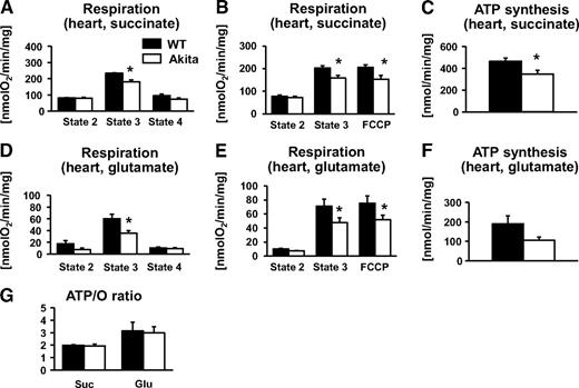 FIG. 5. Mitochondrial function in the heart. Respiration rates (A, B, D, and E) and ATP synthesis rates (C and F) of mitochondria isolated from hearts of 12-week-old wild-type (WT) (■) and Akita (□) mice, measured in the presence of succinate/rotenone (A–C) or glutamate/malate (D–F) as a substrate (n = 5–7). G: State 3 respiration and ATP synthesis rates were used to calculate ATP-to-O ratios for each substrate. *P < 0.05 vs. wild type. glu, glutamate; suc, succinate.