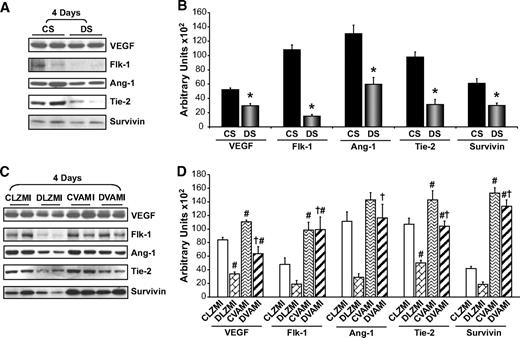 FIG. 4. Effect of combination gene therapy on the expression of VEGF, Flk-1, Ang-1, Tie-2, and survivin 4 days after the intervention. A: Representative Western blots of VEGF, Flk-1, Ang-1, Tie-2, and survivin comparing CS and DS groups. B: Bar graphs show the quantitative difference in expression of VEGF, Flk-1, Ang-1, Tie-2, and survivin between the CS and DS groups. C: Representative Western blots for VEGF, Flk-1, Ang-1, Tie-2, and survivin comparing the CLZMI, DLZMI, CVAMI, and DVAMI groups, 4 days after the therapy. D: Bar graphs show the quantitative difference in expression of VEGF, Flk-1, Ang-1, Tie-2, and survivin among the CLZMI, DLZMI, CVAMI, and DVAMI groups. There was a significant increase in the expression of these proteins in the CVAMI and DVAMI groups compared with the CLZMI and DLZMI groups, respectively. Glyceraldehyde-3-phosphate dehydrogenase was used as a loading control. CS (black solid bars), nondiabetic control sham; DS (gray solid bars), diabetic sham; CLZMI (white bar), nondiabetic control animals that received Ad.LacZ injections; DLZMI (diagonal brick bar), diabetic animals that received Ad.LacZ injections; CVAMI (wave bar), nondiabetic control animals that received combination gene therapy; and DVAMI (wide upward diagonal bar), diabetic animals that received combination gene therapy. Values given as mean ± SEM. *P ≤ 0.05 when DS is compared with CS, #P ≤ 0.05 compared with CLZMI, †P ≤ 0.05 when DVAMI is compared with DLZMI.