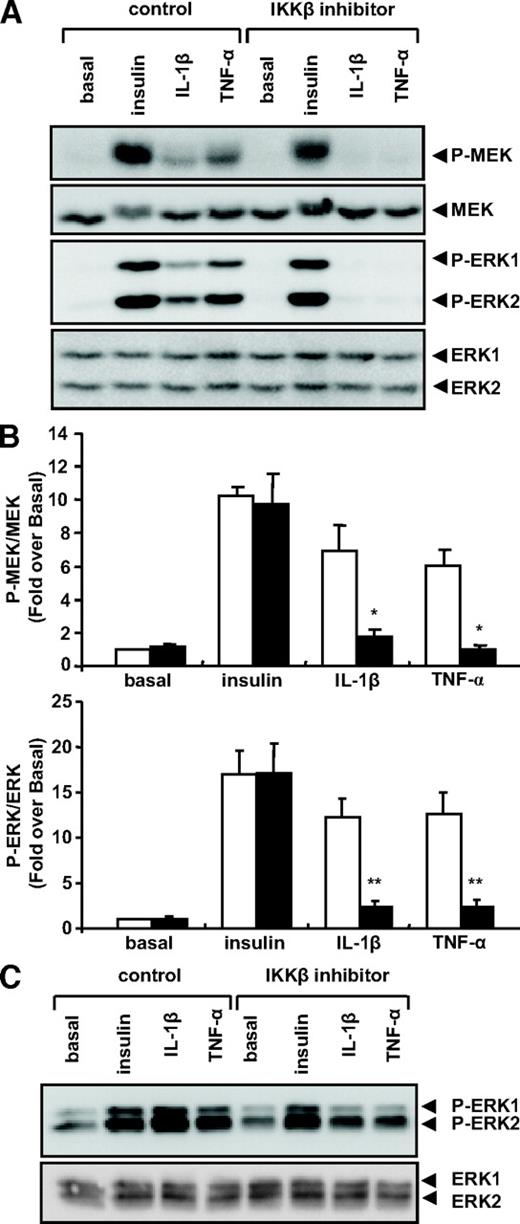 FIG. 1. Pharmacological inhibition of IKKβ prevents MEK and ERK1/2 activation in response to IL-1β and TNF-α but not in response to insulin in adipocytes. A and B: 3T3-L1 adipocytes were treated without (□) or with (■) an IKKβ inhibitor (5 μmol/l) for 1 h and then stimulated or not with IL-1β or TNF-α (20 ng/ml) for 20 min or with insulin (100 nmol/l) for 10 min. Lysates were subjected to Western blotting with antibodies against phosphorylated or total MEK or ERK1/2. Representative immunoblots and quantification of five independent experiments are shown. Data are expressed as fold of MEK and ERK1/2 phosphorylation over basal in cells without inhibitor treatment and presented as the means ± SE. *P < 0.05 and **P < 0.01 vs. stimulus effect in control cells. C: Human adipocytes were treated or not with an IKKβ inhibitor (2.5 μmol/l) for 30 min and then stimulated or not as described above. ERK1/2 phosphorylation and ERK1/2 total protein amount were analyzed as described above. Representative immunoblots of three independent experiments are shown.