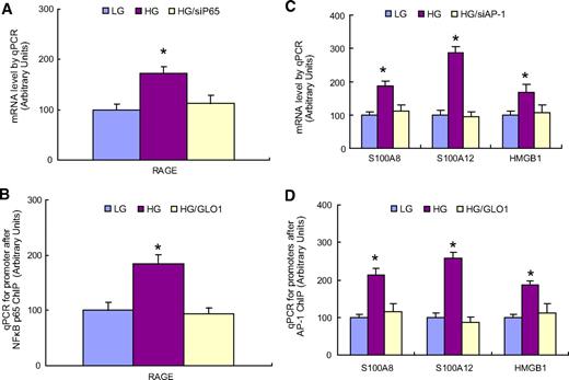 Hyperglycemia-Induced Reactive Oxygen Species Increase Expression of ...