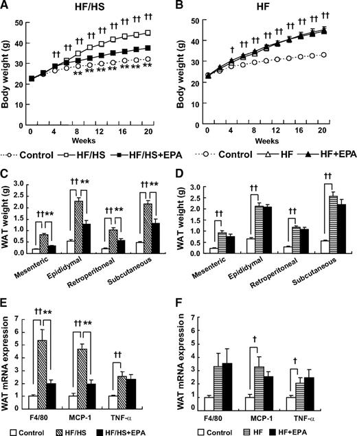 FIG. 1. Effect of EPA on HF/HS- and HF-induced obesity. A and B: Body weight change. C and D: WAT weights. E and F: Proinflammatory gene expression in the epididymal WAT. n = 7–10. †P < 0.05; ††P < 0.01 vs. control group. **P < 0.01 vs. HF (/HS) group.