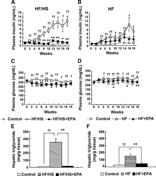 FIG. 2. Effect of EPA on HF/HS- and HF-induced metabolic abnormalities. A and B: Plasma insulin. C and D: Plasma glucose. E and F: Hepatic triglyceride content. †P < 0.05; ††P < 0.01 vs. control group. *P < 0.05; **P < 0.01 vs. HF (/HS) group.