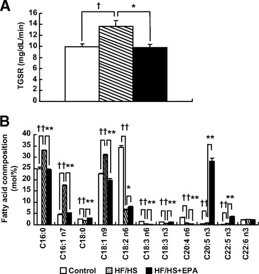 FIG. 5. Effect of EPA on triglyceride secretion rate (TGSR) and VLDL fatty acid composition in the HF/HS group. A: TGSR. B: VLDL fatty acid composition. n = 6. †P < 0.05; ††P < 0.01 vs. control group. *P < 0.05; **P < 0.01 vs. HF/HS group.