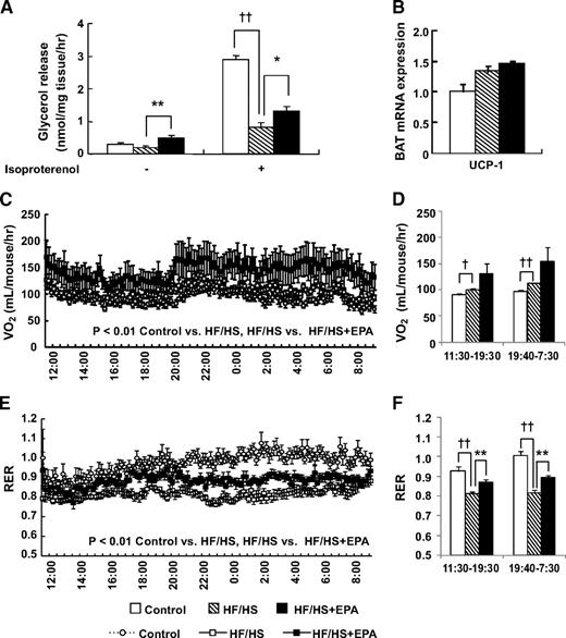 FIG. 6. Effect of EPA on WAT lipolysis and energy consumption in the HS/HF group. A: Glycerol release from epididymal WAT with or without 10 μmol/l isoproterenol. B: UCP-1 mRNA expression in BAT. Indirect calorimetry analysis of VO2 (C and D) and RER (E and F). n = 9. ††P < 0.01 vs. control group. *P < 0.05; **P < 0.01 vs. HF/HS group.