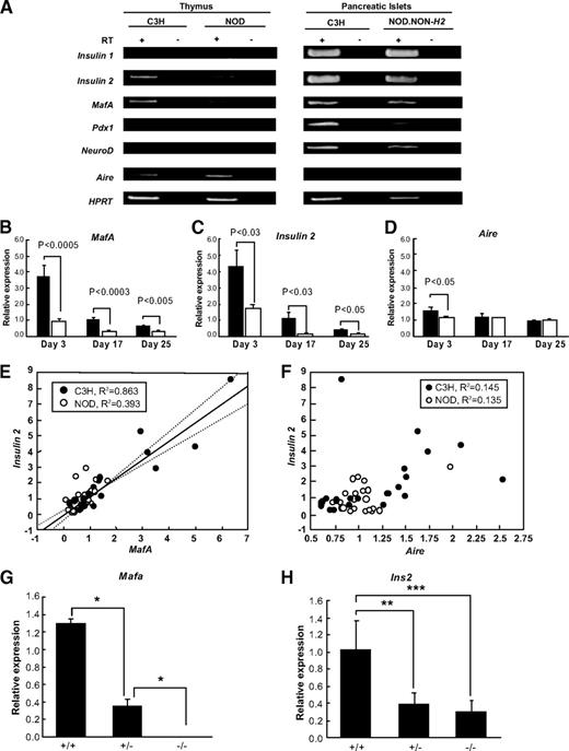 FIG. 1. Regulation of Ins2 transcription in thymus by Mafa. A: Gene expression of insulin (Ins1 and Ins2) and putative transcriptional factors of insulin (Mafa, Pdx1, Neurod1, and Aire) in thymus and pancreatic islets by RT-PCR. B–D: Semiquantitative RT-PCR analysis of expression of Ins2 (B), Mafa (C), and Aire (D) in C3H (■) and NOD (□) thymus. Relative mRNA levels normalized to HPRT expression were determined. Data are expressed as means ± SE. E: Close correlation of relative expression levels between Ins2 and Mafa expression in thymus. F: No correlation between Ins2 and Aire expression in thymus. G and H: Mafa directly regulates insulin transcription in thymus. Semiquantitative RT-PCR of Mafa (G) and Ins2 (H) in Mafa+/+, +/−, and −/− mice. Relative mRNA levels normalized to HPRT expression were determined. Data are expressed as means ± SE. *P = 0.003; ** P = 0.001; ***P < 0.0001, ANOVA.