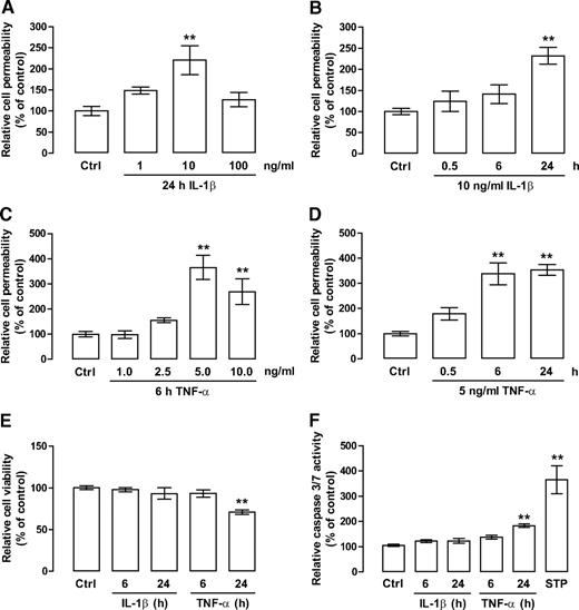FIG. 1. IL-1β and TNF-α increase retinal endothelial cell permeability. A–D: BRECs were grown to confluence on transwell filters and then exposed to IL-1β or TNF-α in a concentration- and time-dependent manner. The monolayer permeability to 70 kDa dextran was measured as described in research design and methods. A: Cells were treated with 1, 10, and 100 ng/ml IL-1β for 24 h. B: Cells were treated with 10 ng/ml IL-1β for 0.5, 6, and 24 h. C: Cells were treated with 1, 2.5, 5, and 10 ng/ml TNF-α for 6 h. D: Cells were treated with 5 ng/ml TNF-α for 0.5, 6, and 24 h. E and F: IL-1β and TNF-α effect on cell viability. BRECs were treated with 10 ng/ml IL-1β or 5 ng/ml TNF-α for 6 and 24 h. E: Relative cell viability was measured by calcein AM cleavage by live cells. F: Retinal endothelial cell apoptosis was evaluated by caspase-3/7 activation. As a positive control of apoptosis induction, cells were treated with 100 nmol/l staurosporine (STP) for 6 h. The results represent the mean ± SEM of at least four independent experiments and are expressed relative to control (Ctrl). **P < 0.01, significantly different from control as determined by ANOVA followed by Dunnett post hoc test.