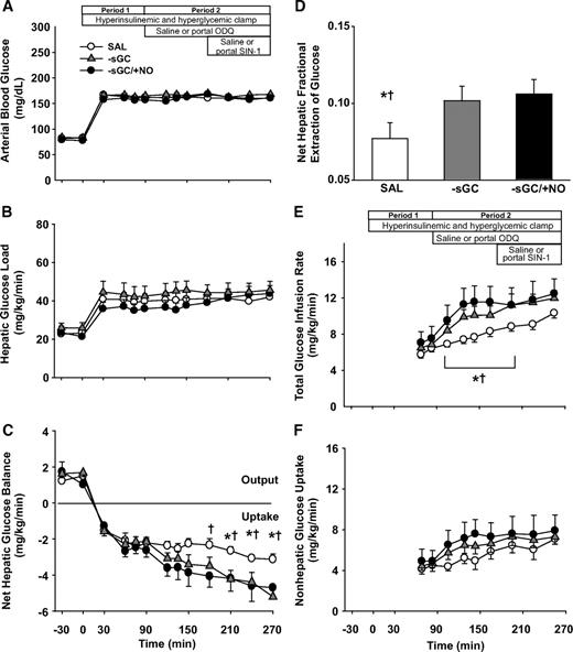 FIG. 2. Arterial blood glucose (A), hepatic glucose loads (B), net hepatic glucose uptake (C), net hepatic fractional extraction of glucose (D), glucose infusion rate (E), and nonhepatic glucose uptake (F) in 42-h–fasted conscious dogs during the basal and experimental periods. See Fig. 1A for description of study conditions. Data are means ± SEM. Net hepatic fractional extraction of glucose data represent the averaged values for the last hour in each group. *P < 0.05 compared with the −sGC group. †P < 0.05 compared with the −sGC/+NO group.