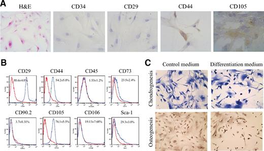 FIG. 1. Characterization of NOR MSCs. A: Immunohistochemical staining of NOR MSC cultures demonstrates fibroblast cell morphology by hematoxylin–eosin staining, substantial expression of the MSC markers CD44 and CD105, moderate expression of CD29, and lack of expression for the hematopoietic stem cell marker CD34. B: Flow cytometric analysis of NOR MSC P4 cultures (n = 5, data shown as mean ± SEM) shows abundant expression of the classical MSC markers CD29, CD44, and CD105, while MSCs were negative for the hematopoietic lineage-restricted markers CD45 and CD90.2. Sca-1, CD73, and VCAM (CD106) were expressed at moderate levels. C: NOR MSCs were shown to undergo osteogenesis and chondrogenesis after exposure to differentiation factors. (A high-quality digital representation of this figure is available in the online issue.)