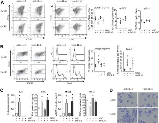 FIG. 3. MSC suppression of DC differentiation. A: Using an established model of DC generation from NOD bone marrow mononuclear cells, coculture with NOR MSCs was shown to markedly reduce the CD11c+CD11b+ population, so that the predominant cell phenotype was CD11clowCD11blow (CD11c+CD11b+ cells = 40.7 ± 2.6% and 22.1 ± 2.4% for control and NOR MSC-treated, respectively, n = 5, P = 0.0007), whereas treatment with anti-IL-6 in large part abrogated this effect (CD11c+CD11b+ cells = 30.9 ± 4.7%, not significant in comparison to control [−/−] and MSCs alone [+/−]). Analysis of expression of Ly-6c in the CD11b+ fraction demonstrated that coculture with NOR MSCs resulted in a decrease in both the CD11b+Ly-6chigh and CD11b+Ly-6cint populations (n = 4, P = 0.0053 and P = 0.02, respectively), which was fully abrogated by blockade of IL-6 (p = not significant). B: The population of lineage-negative cells was evaluated in DC culture as a function of progenitor frequency; coculture with MSCs increased the percentage of Lin− cells (n = 4, Lin− cells = 8.94 ± 0.87% and 13.73 ± 1.08% for control and NOR MSC-treated, respectively, P = 0.004), which was in part rescued by addition of anti-IL-6 (p = not significant). Similarly, Sca-1 expression within the lineage-negative population was markedly increased in the presence of MSCs (n = 4, Lin− Sca-1+ cells = 6.98 ± 1.27% and 30.53 ± 6% for control and NOR MSC-treated, respectively, P = 0.0085). Although treatment with anti-IL-6 resulted in loss of significance of this effect, IL-6 blockade appeared to be incompletely effective in reducing Sca-1 expression in response to MSCs. C: Cytokine analysis of cocultures of DCs and NOR MSCs demonstrated marked IL-6 production in the presence of MSCs (n = 4, P = 0.0074) as well as efficient blockade of IL-6 in response to treatment with anti-IL-6. Both Flt3L and M-CSF levels were substantially increased in response to MSC coculture (P = 0.03 and P = 0.04, respectively), and IL-6 blockade had no effect on these growth factors (P = 0.013 and P = 0.018, respectively, in comparison to DCs alone). Conversely, TNF-α production was reduced in the presence of MSCs (P = 0.0056), and anti-IL-6 treatment resulted in abrogation of this effect (p = not significant). D: Giemsa staining of DC culture cytospins demonstrated a lower nuclear/cytoplasmic ratio in response to coculture with MSCs, and IL-6 blockade appeared to in large part abrogate this effect. Experiments were performed between 3 and 5 times, and data are displayed with means and SEM. (A high-quality color representation of this figure is available in the online issue.)