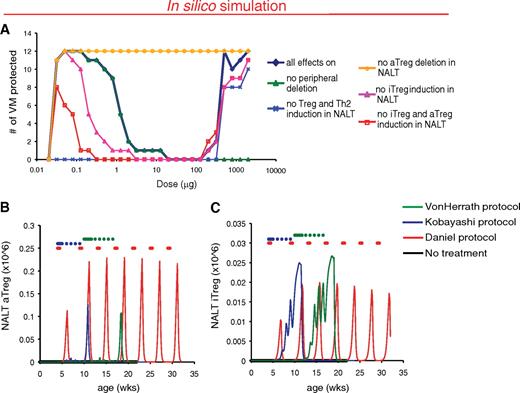 FIG. 2. Loss of efficacy after high nasal B:9–23 immunization frequency is predicted to be attributed to lower induction of aTreg in the NALT. A: Mechanisms driving predicted efficacy differ at low and high doses. Nasal insulin B:9-23 peptide therapy was simulated and protection from diabetes assessed using the von Herrath protocol over a dose range with various pharmacokinetic effects (PK) turned off. Only results with differences from control (all effects on) are shown. B and C: Increased immunization frequency is associated with lower induction of aTreg in the NALT. Time of administration for each protocol is indicated by colored dots. Model readouts for NALT aTreg (B) and nTreg (C) cells were assessed for each protocol (black, untreated; red, Daniel protocol; blue, Kobayashi protocol; green, von Herrath protocol). A single representative VM is shown.