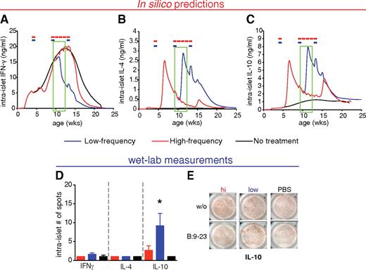 FIG. 5. Validation of the predicted changes in intra-islet IL-10 cytokine levels after nasal B:9-23 immunization by laboratory measurements. A–C: Low-frequency immunization is predicted to decrease IFNγ and increase IL-10 levels in the pancreas. Simulation for intra-islet levels for IFNγ (A), IL-4 (B), and IL-10 (C) over time in VM treated with either low-frequency (blue) or high-frequency (red) nasal B:9-23 protocol. The green boxes indicate the suggested-by-the-model-age window at which the laboratory measurements should be conducted. D and E: Laboratory measurements show an increase in IL-10 levels in the intra-islet lymphocytes isolated from the pancreas of 12-week-old mice. D: Number of B:9-23–reactive per 2.5 × 105 T-cells producing IFNγ, IL-4, and IL-10 in pancreas (intra-islet) from treated and control mice following B:9-23 in vitro restimulation. ELIspot was performed after 3 days in vitro stimulation in the presence of 10 μg/ml B:9-23 and 50 μ/ml rhIL-2. The bars represent the average of antigen-specific responder cells after subtracting the background (without [w/o] stimulation) (n = 4 mice per group) ± SE. *P < 0.05 between high-frequency and low-frequency immunization. E: Representative spot pictures for IL-10 assayed in the pancreas. (A high-quality digital representation of this figure is available in the online issue.)