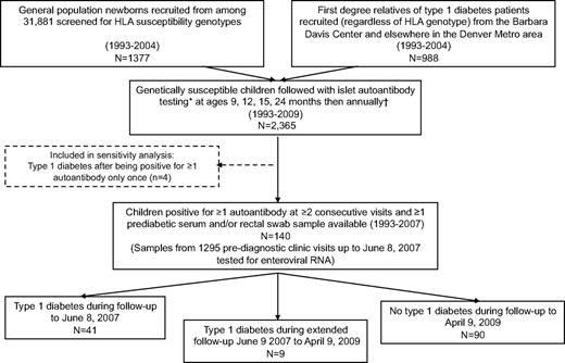 FIG. 1. Flow chart illustrating formation of the study cohort. *Samples were tested for the three islet autoantibodies: anti-GAD65, anti-insulin, and anti–IA-2. †If positive for ≥1 islet autoantibody at or after 12 months of age, frequency of blood sampling was increased to every 3–6 months.