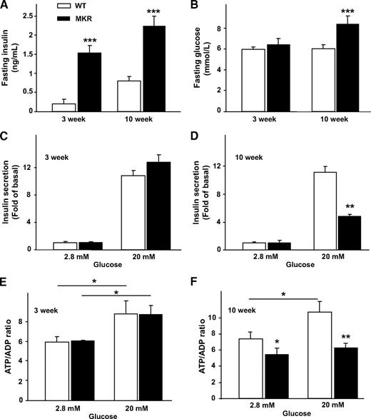 FIG. 1. Mouse characterization and islet glucose-stimulated insulin secretion and ATP/ADP ratio. Fasting plasma insulin (A) and blood glucose levels (B). Islets from age-matched MKR and WT mice were exposed to 2.8 or 20 mmol/l glucose. C and D: Islet insulin secretion during 1 h in 3- and 10-week-old islets. GSIS from 5-week-old islets is shown in Fig. S1. E and F: Total islet ATP/ADP ratio. (n = 3 independent experiments with five mice per genotype.) Data are means ± SE. *P < 0.05; **P < 0.01; ***P < 0.001 MKR compared with age-matched WT unless otherwise indicated.