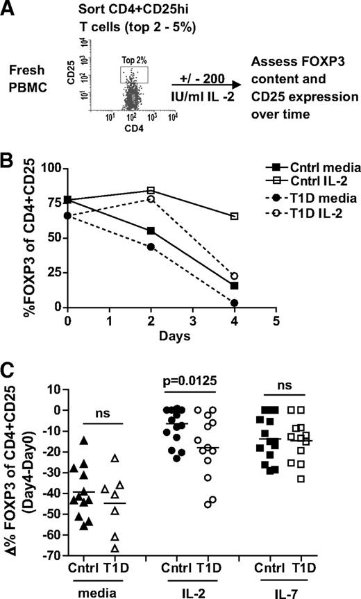 FIG. 1. Maintenance of FOXP3 expression in CD4+CD25+ nTregs of type 1 diabetic subjects is impaired in the presence of IL-2. As diagramed in (A), fresh CD4+CD25+ T-cells were sorted from PBMCs isolated from control and type 1 diabetic subjects, placed in culture with media alone or 200 IU/ml IL-2, and FOXP3 and CD25 expression was assessed over time by flow cytometry. B: One control and one type 1 diabetic sample are shown. C: CD4+CD25+ T-cells from multiple control (n = 17) and type 1 diabetic (n = 13) subjects were assayed as in A in the presence of media alone, 200 IU/ml IL-2, or 10 ng/ml IL-7. Bars show means and symbols represent individual subjects. Analysis was performed by gating on live CD4+CD25+ T-cells. Statistical significance was determined using an independent Student t test. Cohorts of control and type 1 diabetic subjects had mean ages of 38 (range 18–61) and 34 (range 21–46) years, respectively.