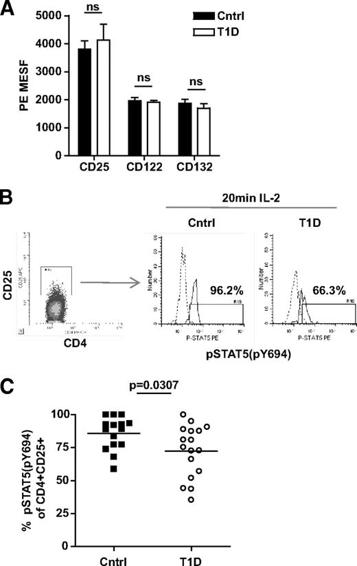 FIG. 2. nTregs of type 1 diabetic subjects display impaired IL-2R signaling. A: Level of expression of CD25, CD122, and CD132 in the CD4+CD25+ population of control (n = 17) and type 1 diabetic (n = 11) subjects from Fig. 1C was determined using Quantum R-PE MESF beads. B: Thawed PBMCs from a representative control and type 1 diabetic subject were stimulated with 100 IU/ml IL-2 for 20 min prior to fixation and staining with CD4, CD25, and pSTAT5(Y694). Dashed lines are treatment with media alone and solid lines are treatment with IL-2. C: Multiple control (n = 15) and type 1 diabetic (n = 17) subjects were stimulated as in B. Bars show means and symbols represent individual subjects. Analysis of pSTAT5 was performed by gating on live CD4+CD25+ T-cells. Statistical significance was determined using an independent Student t test.