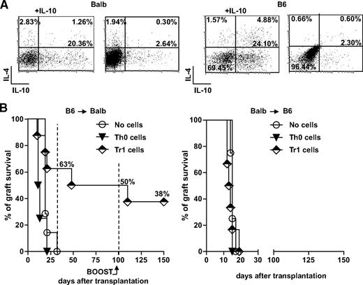 FIG. 1. A: Naive CD4+CD62L+ T-cells isolated from the spleens of BALB (left) or B6 (right) mice were activated with αCD3 and αCD28 mAbs in the presence or absence of exogenous IL-10 for 3 weeks. The ability to produce IL-10 and IL-4 was tested by intracellular staining at the end of the culture and upon TPA/ionomycin stimulation. The frequency of Tr1 cells (i.e., IL-10+IL-4− cells) differentiated in the presence (+IL-10) or absence of IL-10 is reported in bold. One representative experiment of five (for BALB) and three (for B6) mice is shown. B: Chemically induced diabetic BALB mice received a transplant of islets from B6 mice. The day before transplant, recipient mice were injected with PBS (no cells, n = 7), 2 × 106 of BALB CD4+ T-cells enriched in Tr1 cells upon culture in the presence of IL-10 (Tr1 cells, n = 8), or 2 × 106 BALB CD4+ T-cells cultured for 3 weeks in the absence of IL-10 (Th0 cells, n = 4). Graft survival was monitored by glycemia levels. A graft was considered rejected when glycemia was >300 mg/dl. At 100 days after transplant, 30 × 106 splenocytes isolated from B6 mice were injected in tolerant mice to boost their immune system. The percentage of graft survival at various time points after transplant is shown (left). Chemically induced diabetic B6 mice received a transplant of islets from BALB mice. The day before transplant, recipient mice were injected with PBS (no cells, n = 8), 2 × 106 B6 CD4+ T-cells enriched in Tr1 cells upon culture in the presence of IL-10 (Tr1 cells, n = 6), or 2 × 106 B6 CD4+ T-cells cultured for 3 weeks in the absence of IL-10 (Th0 cells, n = 2). Graft survival was monitored by glycemia levels. A graft was considered rejected when glycemia was >300 mg/dl (right).