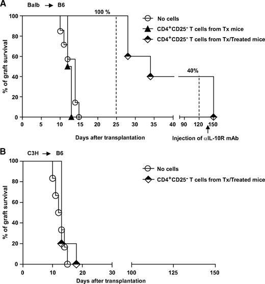FIG. 3. A: Chemically induced diabetic B6 mice received a transplant of islets from BALB mice. The day before transplant, recipient mice were injected with PBS (no cells, n = 7), 2 × 106 CD4+CD25− T-cells isolated from the spleen of B6 treated mice that underwent a transplant (Tx/treated, n = 5), or 2 × 106 CD4+CD25− T-cells isolated from the spleen of B6 untreated mice that underwent a transplant (Tx mice, n = 2). At 150 days after transplant, tolerant mice were injected with αIL-10R mAb. Graft survival was monitored by glycemia levels. A graft was considered rejected when glycemia was >300 mg/dl. The percentage of graft survival at various time points after transplant is shown. B: Chemically induced diabetic B6 mice received a transplant of islets from C3H mice. The day before transplant, recipient mice were injected with PBS (no cells, n = 6), or 2 × 106 CD4+CD25− T-cells isolated from the spleen of B6 mice that received a transplant of BALB islets and were treated (Tx/treated, n = 5). Graft survival was monitored by glycemia levels. A graft was considered rejected when glycemia was >300 mg/dl.