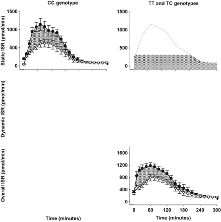 FIG. 2. Insulin secretory indexes during the 5-h OGTT (●) and isoglycemic intravenous glucose infusion (△) in control subjects and carriers of the at-risk TCF7L2 variant. Shaded areas indicate the incretin effects. P values indicate the significance of the differences in incretin effects between groups. Values are means ± SE.