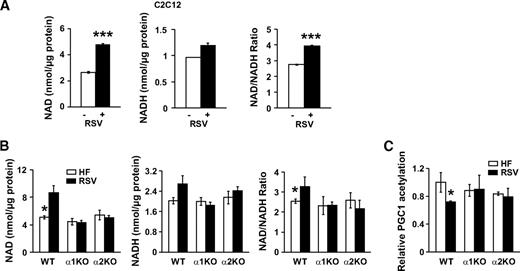 FIG. 5. The role of resveratrol on the NAD-to-NADH ratio. A: Intracellular levels of NAD, NADH, and NAD-to-NADH ratio in C2C12 myotubes treated with vehicle (−) or resveratrol (+) (50 μmol/l) for 6 h (n = 5). Results are means ± SE. *P < 0.05; **P < 0.01; ***P < 0.001 between the treatments. B: Intracellular levels of NAD, NADH, and NAD-to-NADH ratio in skeletal muscle of mice fed with high-fat diet (HF, □) alone or supplemented with resveratrol (RSV, ■) (n = 4–5). Results are means ± SE. *P < 0.05 between wild-type (WT) mice fed high-fat diet alone or supplemented with resveratrol. C: Acetylation levels of PGC-1α in skeletal muscle (n = 4–5 per genotype). Results are means ± SE. *P < 0.05 between wild-type (WT) mice fed high-fat diet alone (□) and high-fat diet supplemented with resveratrol (■).
