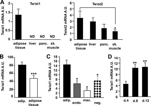FIG. 1. Twist1 mRNA levels in different cell types from adipose tissue and during adipocyte differentiation. A: Twist1 and twist2 mRNA levels were measured in paired samples from human white adipose tissue (n = 3), liver (n = 2), pancreas (panc., n = 3), and skeletal muscle (sk. muscle, n = 3) (cohort 1). B: Twist1 expression was measured in 14 samples from human mature adipocytes (adip.) and the corresponding adipose tissue (cohort 2). C: Twist1 was also measured in samples from human mature adipocytes (n = 6) and the corresponding CD34+/CD31+ capillary endothelial cells (endo., n = 10), CD14+/CD34− resident macrophages (mac., n = 9), and cells negative for CD34, CD31, and CD14 (neg., n = 10) (cohort 3). D: Twist1 mRNA levels were measured during in vitro differentiation of human preadipocytes, n = 9. Cells were lysed at days 4, 8, and 12 of differentiation. RNA from earlier stages is not relevant to isolate because other types of cells from the stroma-vascular fraction (e.g., endothelial cells) may be present during the first few days of cell culture. Nonadipocyte cells are, however, not supported in the adipogenic differentiation medium and consequently die off at approximately day 2. All mRNA levels were normalized to the reference gene 18S and are shown as arbitrary units (A.U.). Bars indicate mean ± SEM. ND, not detected. ***P < 0.0001, **P < 0.01, and *P < 0.05.