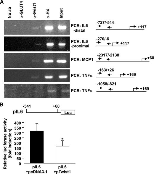 FIG. 4. ChIP in human in vitro–differentiated adipocytes. A: ChIP was performed on in vitro–differentiated adipocytes. ChIP assays were performed using antibodies specifically recognizing twist1, acetyl-histone H4 (positive control), and GLUT4 (negative control). Input DNA and immunoprecipitated DNA were quantified by PCR using specific primer sets recognizing human MCP-1, IL-6, and TNF-α promoter regions overlapping E-boxes. Regions complementary to the primers, transcriptional start sites (indicated by an arrow), and translational start sites in the promoters are shown to the right. Primer sequences and expected PCR products are listed in supplementary Table 3. B: Undifferentiated 3T3-L1 cells were transiently transfected with pIL6 together with either empty pcDNA3.1 or pTwist1. An internal control (cytomegalovirus-β-galactosidase–containing vector) was included in all transfections. Relative luciferase activity was normalized for β-galactosidase expression and expressed as fold over empty vector (pGL2-basic) + empty pcDNA3.1 or pGL2-basic + pTwist1. Samples were run in triplicate, and the results display mean ± SEM of four independent experiments. *P < 0.05.