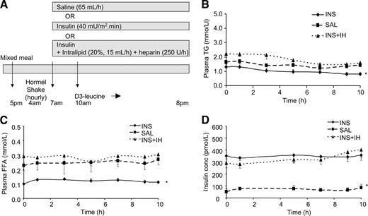 FIG. 1. Study protocol (A) and plasma TG (B), FFA (C), and insulin (D) levels over the time course of the kinetic study. At 4:00 a.m., subjects started to ingest identical hourly and then half-hourly volumes of a liquid food supplement. Three hours after starting to ingest the formula, an intravenous infusion of INS, SAL, or INS + IH was started. Three hours after starting the intravenous infusions, a primed, continuous intravenous infusion of l-[5,5,5-2H3]-leucine was administered for an additional 10 h to enrich apoB48 and -B100 (A). Plasma TG (B), FFA (C), and insulin (D) levels were measured after an overnight fast and then throughout the 10-h lipoprotein turnover study (0–10 h) in subjects receiving INS, SAL, or INS + IH (n = 6). Values are means ± SEM for each group. Over the time course of the kinetic study, the overall significance between the three studies was *P < 0.0001 for both plasma TG and FFA concentrations, with TG and FFA concentrations significantly lower in INS vs. SAL and INS + IH but no significant difference between INS + IH and SAL. The overall significance of insulin concentrations between the three studies was *P < 0.0001, with insulin concentrations significantly higher in INS and INS + IH vs. SAL but no significant difference between INS and INS + IH.