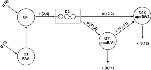 FIG. 2. Compartmental model of VLDL1 and VLDL2 apoB metabolism. The same structural model was used for both apoB48 and apoB100. D2, intracellular delay compartment that accounts for synthesis, assembly, and secretion of apolipoproteins; Q1, plasma deuterated-leucine enrichment; Q4, isotopic dilution; Q11, VLDL1 lipoprotein output for apoB48 or apoB100; Q12, VLDL2 lipoprotein output for apoB48 or apoB100.
